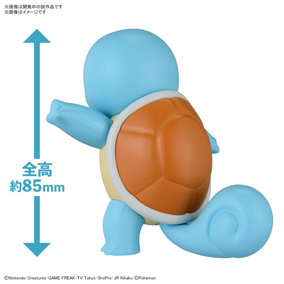 POKEPLA Quick 17 Squirtle