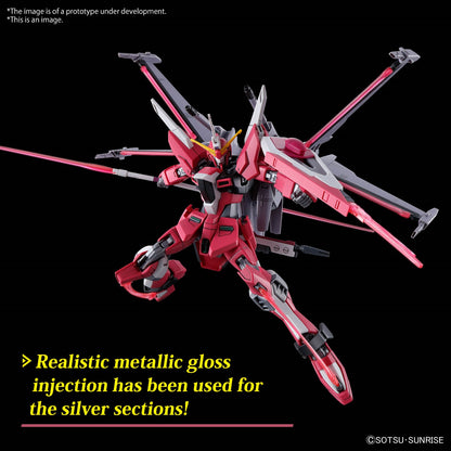 HG 1/144 Infinite Justice Gundam Type II